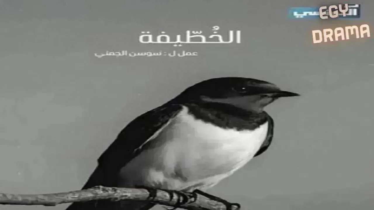 مسلسل الخطيفة الحلقة 16 السادسة عشر ريم الرياحي 2026