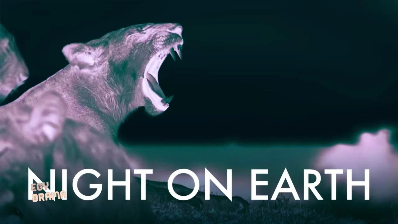 Night on Earth Night on Earth الموسم