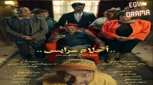 احلام عرايس