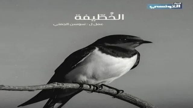 مسلسل خلك من كلام الحلقة 1 الاولى عبدالباسط الجارد 2026